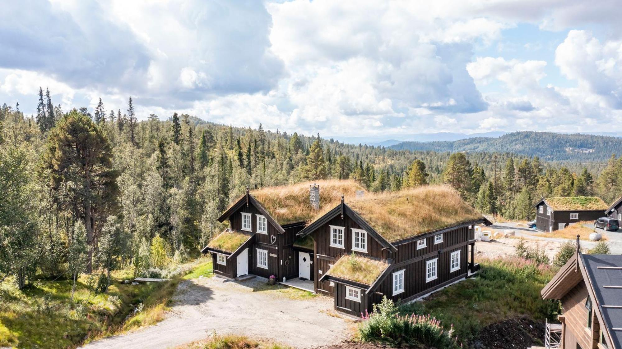 Rauland Feriesenter Villa Bilik gambar